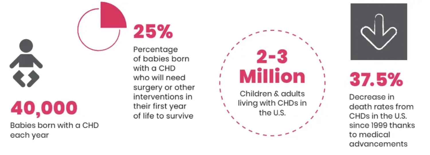 Illustration accompanying Congenital Heart Defects: Key Facts Every Parent and Advocate Should Know